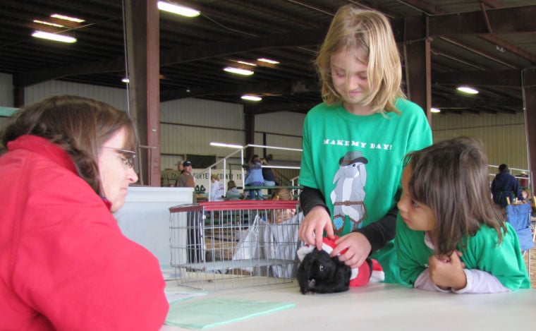 Rabbit Extravaganza in Gateville